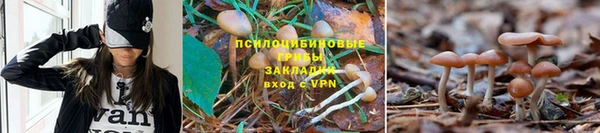 СК Каменск-Шахтинский