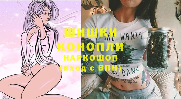 СК Каменск-Шахтинский