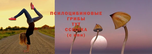 марки nbome Каменка