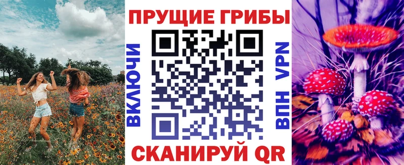 как найти   hydra tor  Псилоцибиновые грибы GOLDEN TEACHER  Ульяновск 
